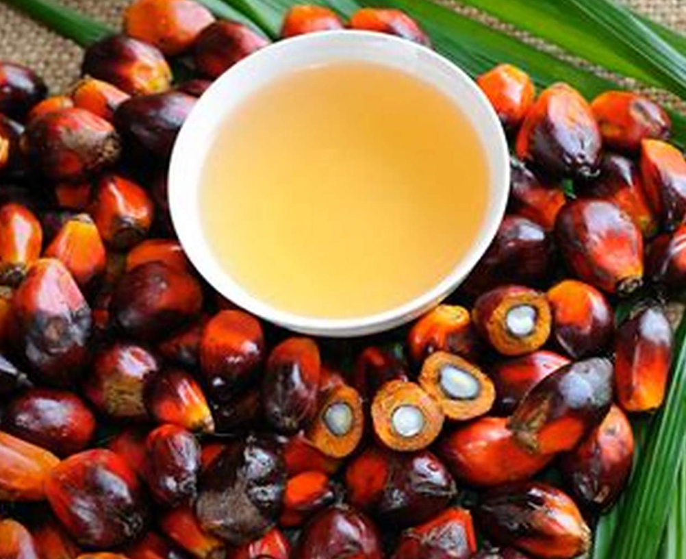Indonesia - Palm oil